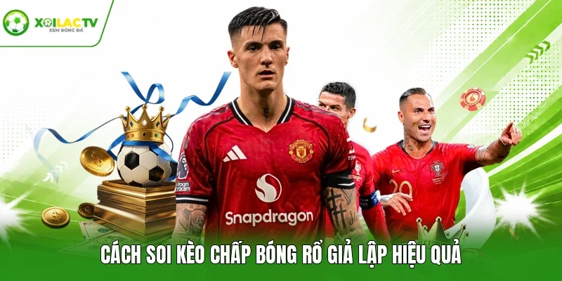 Cách soi kèo chấp bóng rổ giả lập hiệu quả