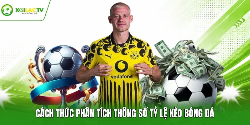 Cách thức phân tích thông số tỷ lệ kèo bóng đá