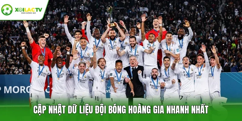 Cập nhật dữ liệu đội bóng hoàng gia nhanh nhất