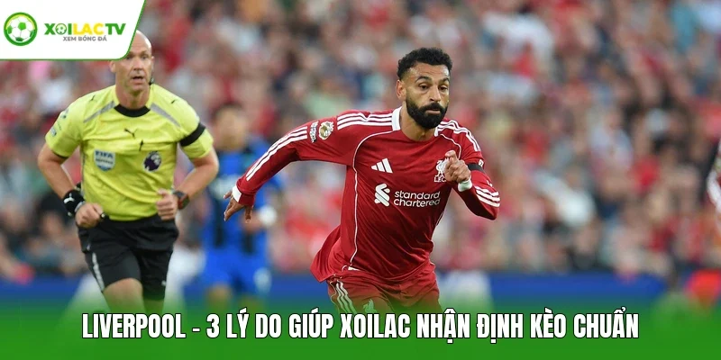 Liverpool - 3 Lý Do Giúp Xoilac Nhận Định Kèo Chuẩn