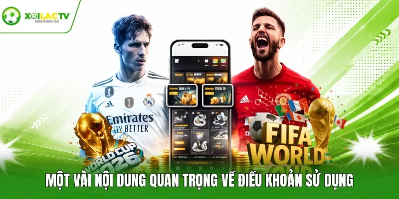 Một vài nội dung quan trọng về điều khoản sử dụng