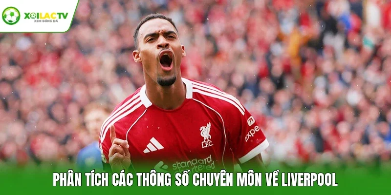 Phân tích các thông số chuyên môn về Liverpool