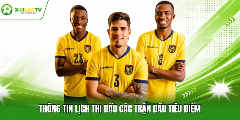 Thông tin lịch thi đấu các trận đấu tiêu điểm
