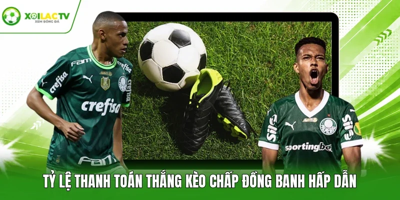 Tỷ lệ thanh toán thắng kèo chấp đồng banh hấp dẫn