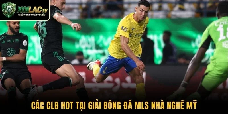 Các CLB hot tại giải bóng đá MLS Nhà nghề Mỹ