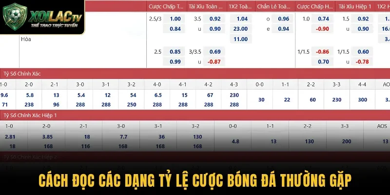 Cách đọc các dạng tỷ lệ cược bóng đá thường gặp