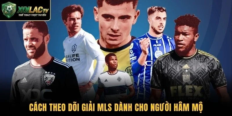 Cách theo dõi giải MLS dành cho người hâm mộ