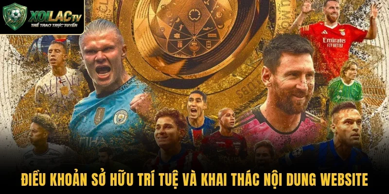 Điều khoản sở hữu trí tuệ và khai thác nội dung website