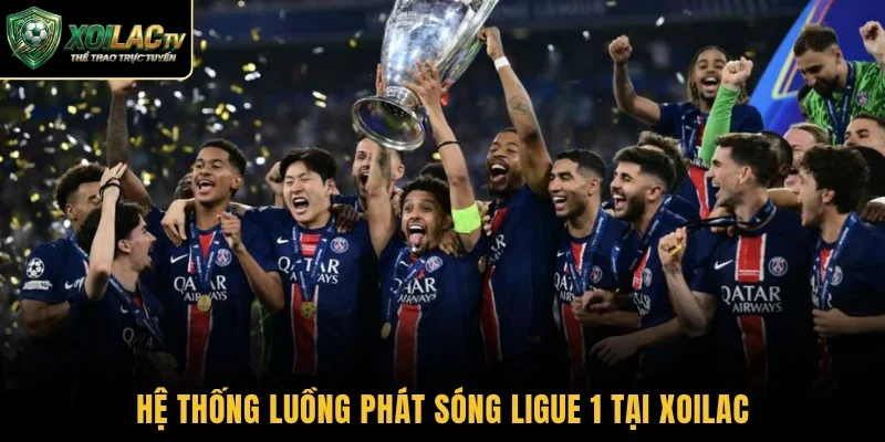 Hệ thống luồng phát sóng Ligue 1 tại Xoilac