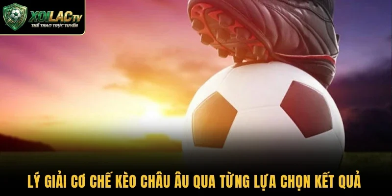 Lý giải cơ chế kèo châu Âu qua từng lựa chọn kết quả
