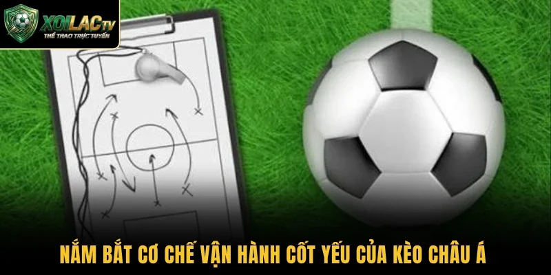 Nắm bắt cơ chế vận hành cốt yếu của kèo châu Á