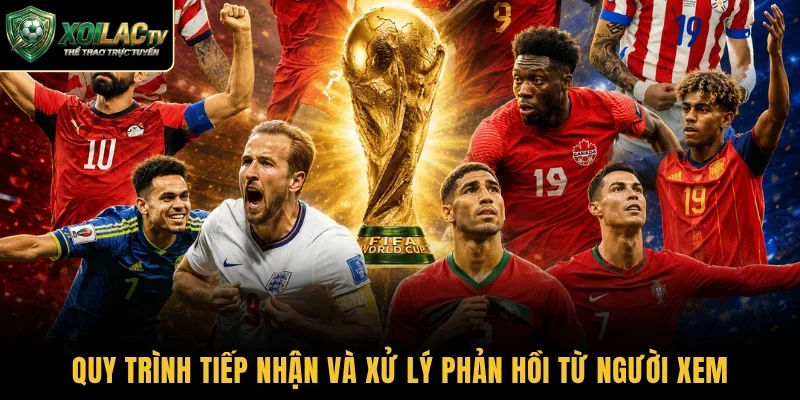 Quy trình tiếp nhận và xử lý phản hồi từ người xem