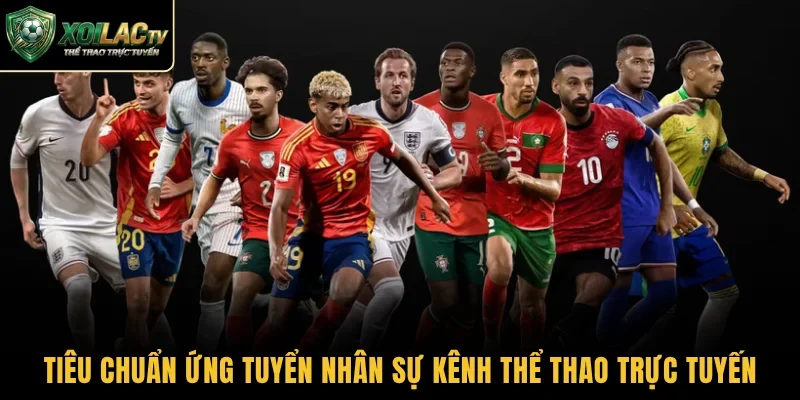 Tiêu chuẩn ứng tuyển nhân sự kênh thể thao trực tuyến