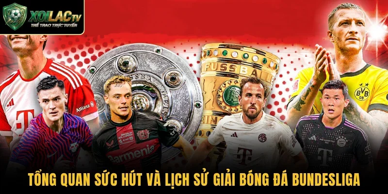 Tổng quan sức hút và lịch sử giải bóng đá Bundesliga