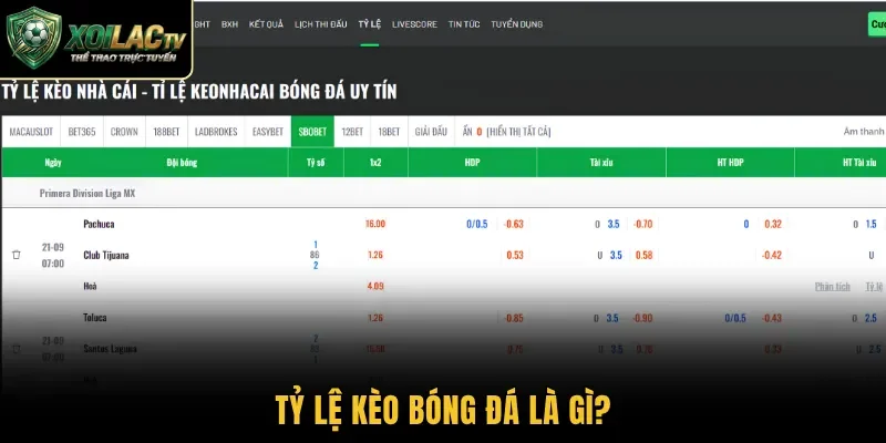 Tỷ lệ kèo bóng đá là gì?